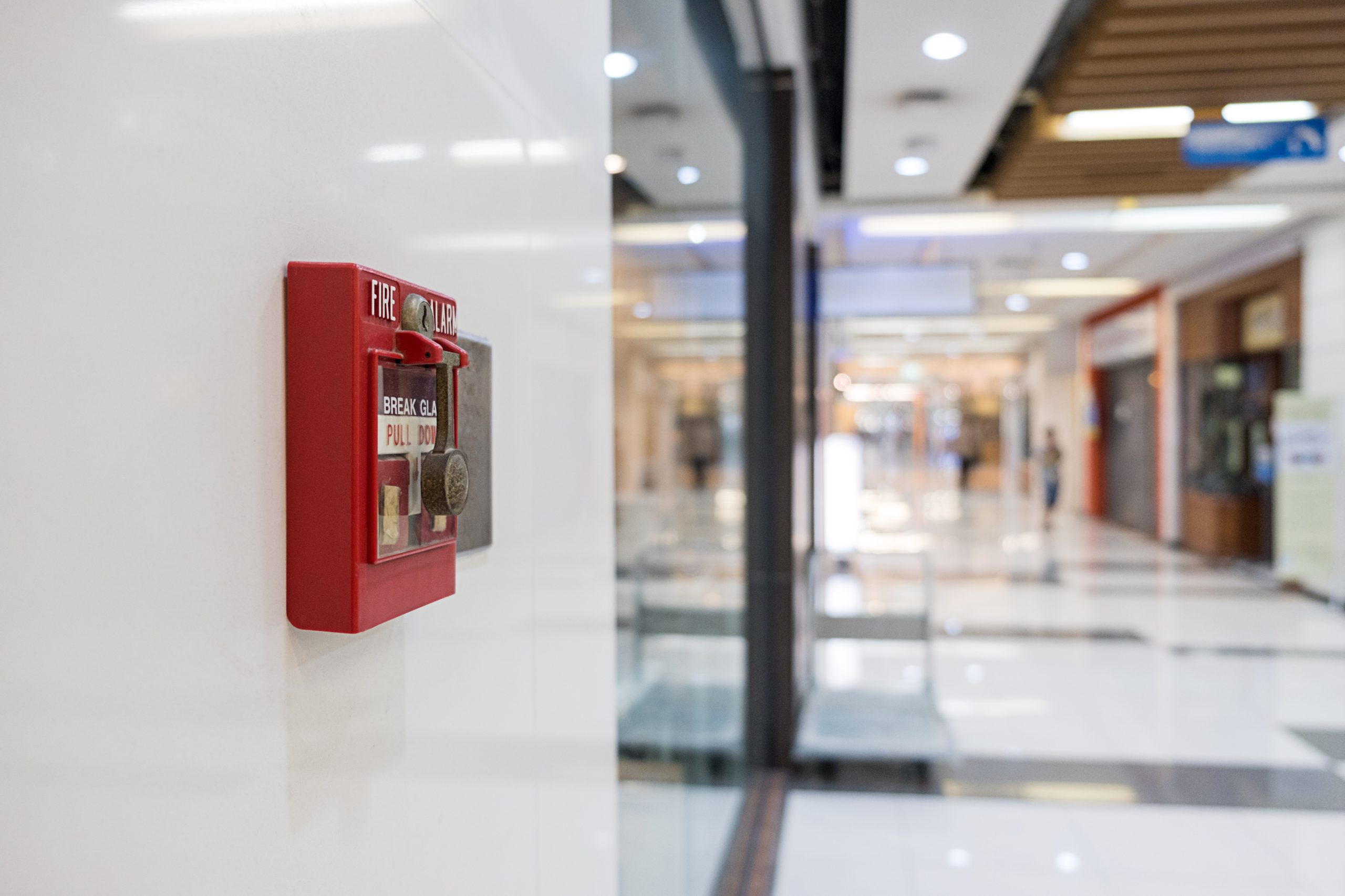 cover - image - Can you provide fire protection services for schools and educational facilities? faq - Fire Alarm Services